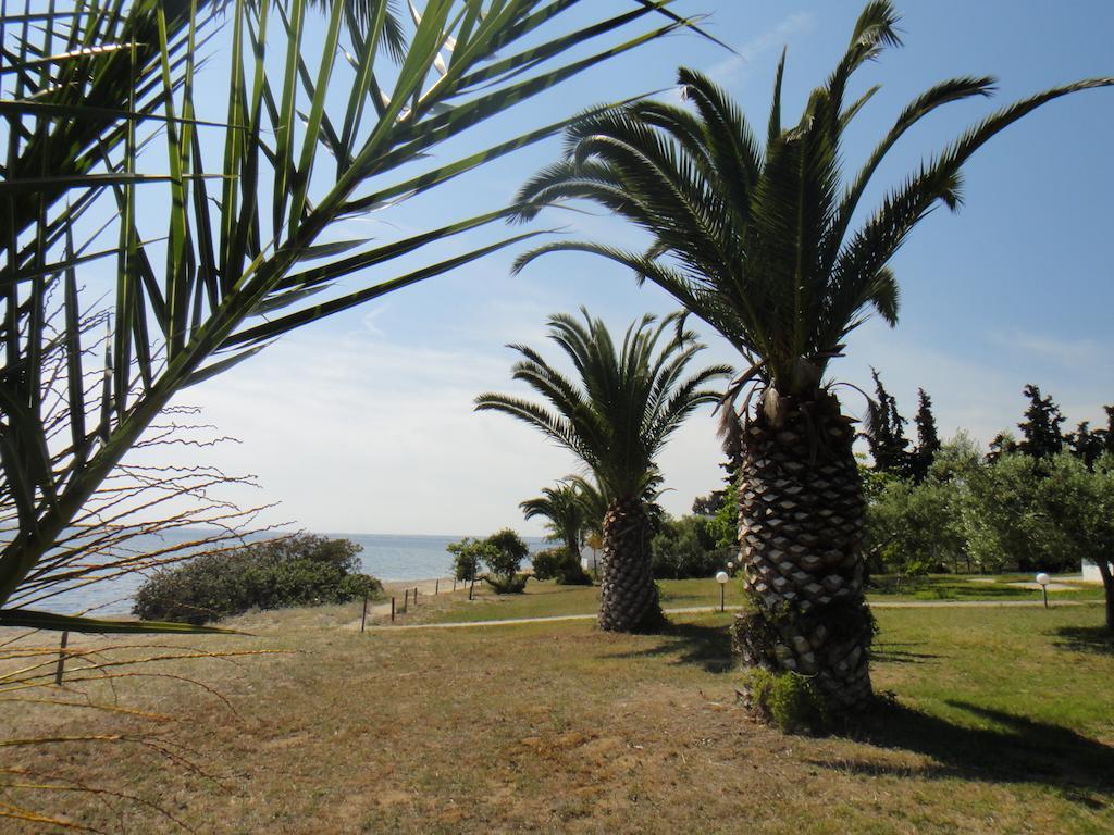 Afroditi Beach Gerakini Exterior photo