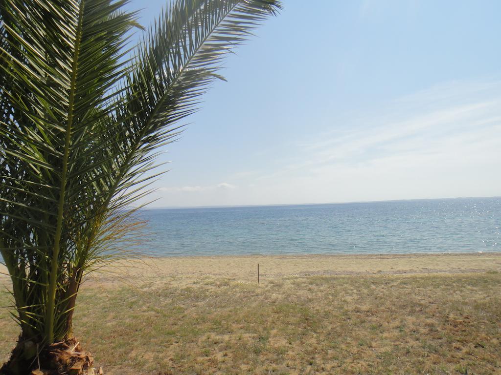 Afroditi Beach Gerakini Exterior photo